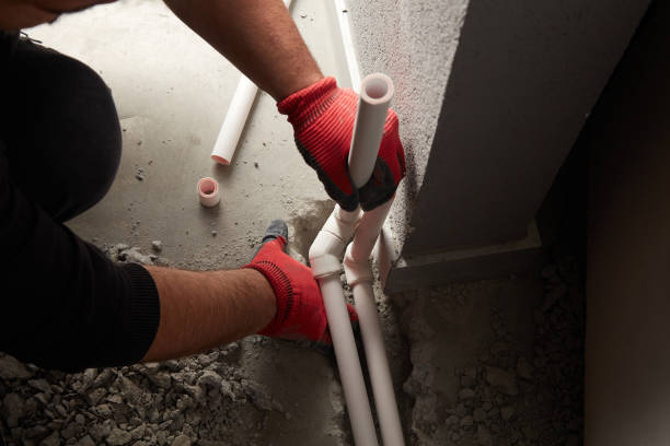 Best Local Plumber Services  in Kingsport, TN